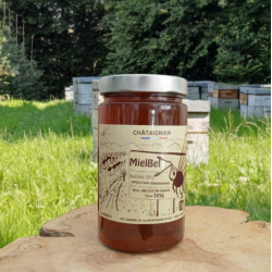 Miel de Chataignier