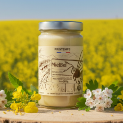 Miel de Printemps