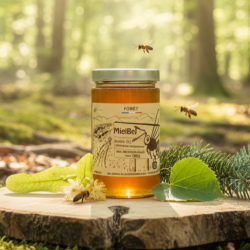 Miel de Foret