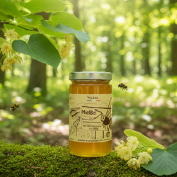 Miel de Tilleul